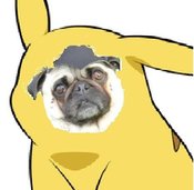 Hunchu