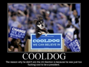 Cooldog