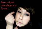 Boxxy