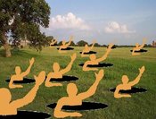 Field