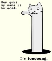 Holecat