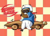 Bidoofracer