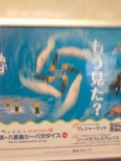 Photo-0018