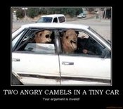 Two-angry-camels-in-a-tiny-car-two-angry-camels-in-a-tiny-ca-demotivational-poster-1265390697