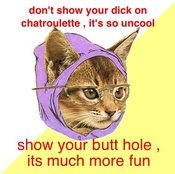 Hipster_cat_and_chatroulette