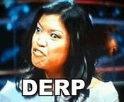 Michelle-malkin-derp