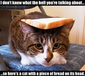 Breadcat