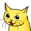 Neko_face20110724-22047-gm4ihh