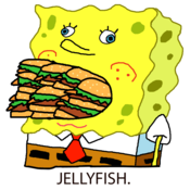 Jellyfish2_copy
