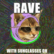 Hipster-kitty-rave-with-sunglasses-on
