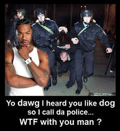 You_like_dog