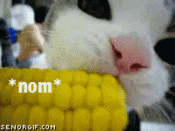 Nomcorn