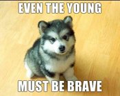 Even-the-young-must-be-brave