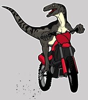 Raptor-dirtbike