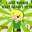 pikachugirl2 pikachugirl2
