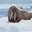 Tank Walrus Tank Walrus