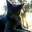 Kitty