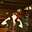 Evelyn