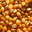 Corn Star