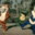 Rayman