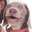Dog Strelok